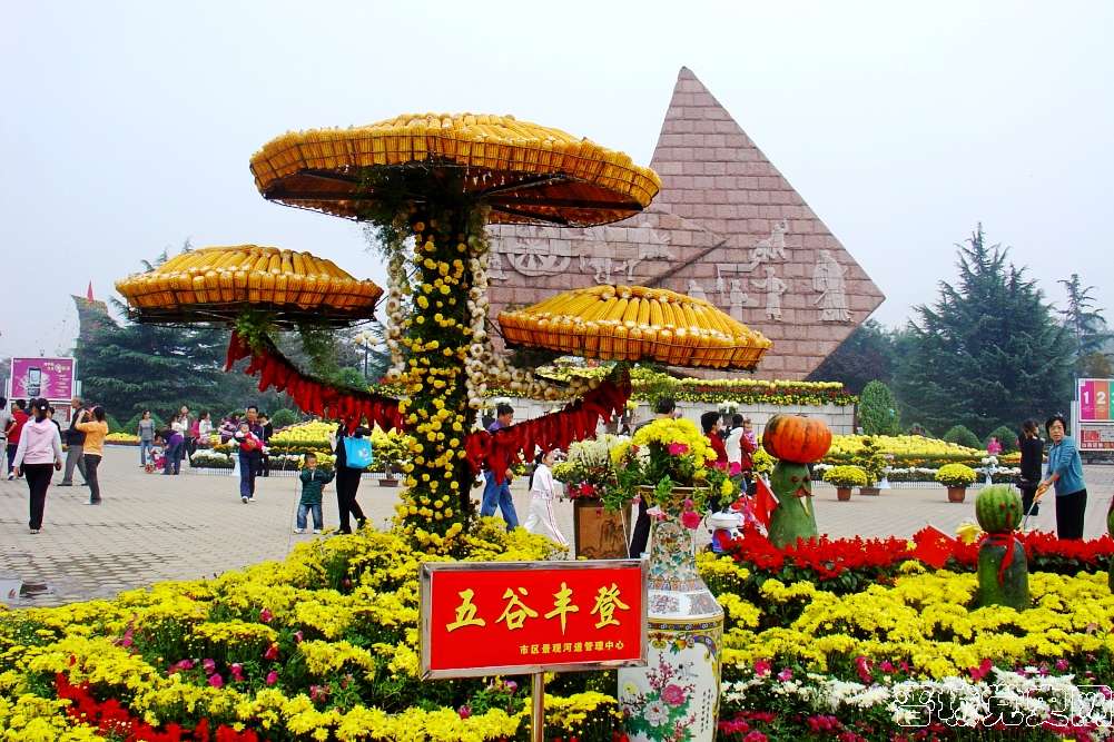 五谷丰登(摄影:杨利雄)